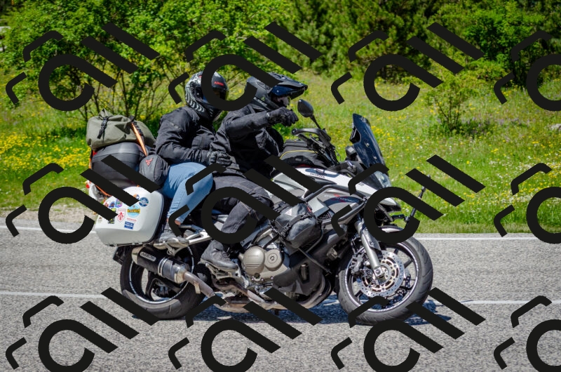 202506011309-DSC_4841_c2