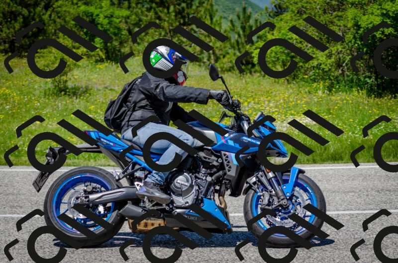 202506011309-DSC_4844_c2