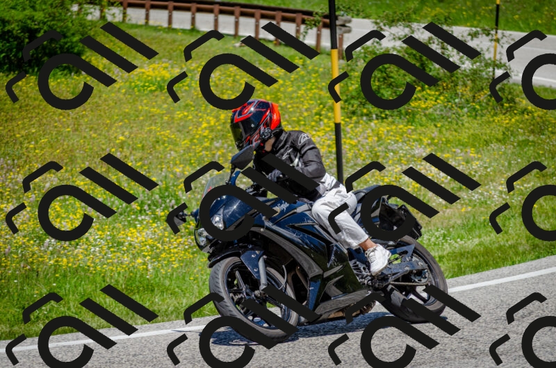 202506011310-DSC_4845_c2