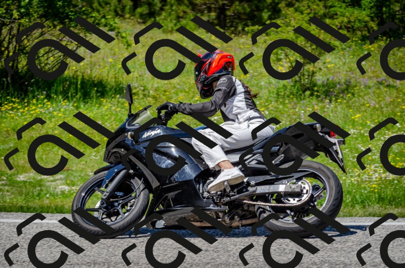 202506011310-DSC_4846_c2