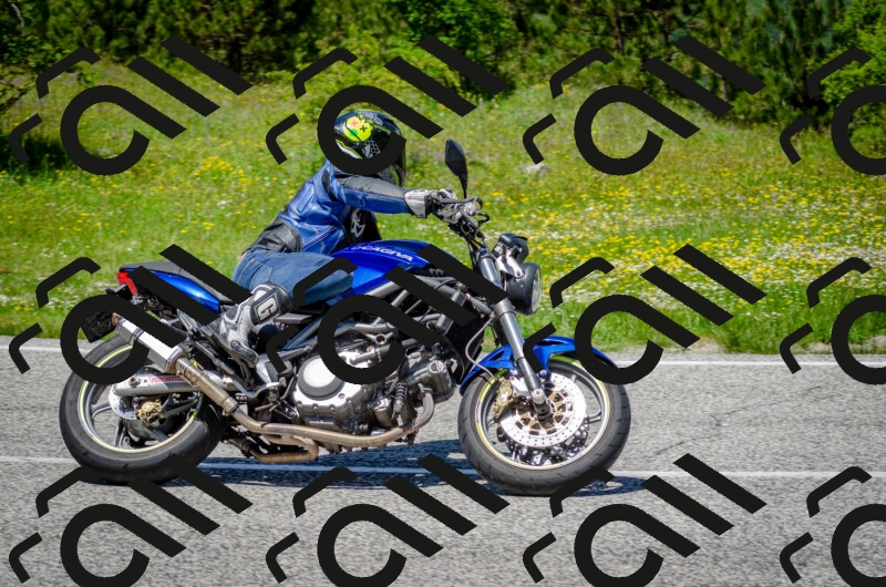 202506011310-DSC_4852_c2