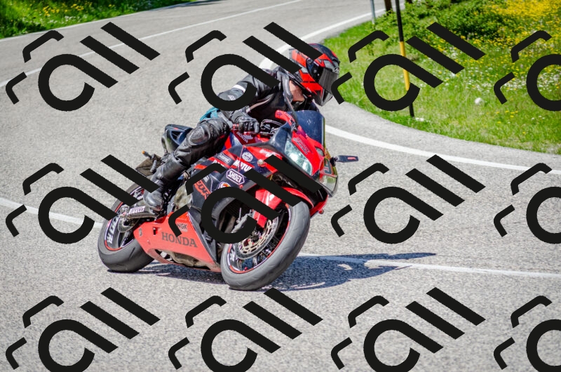 202506011310-DSC_4853_c2