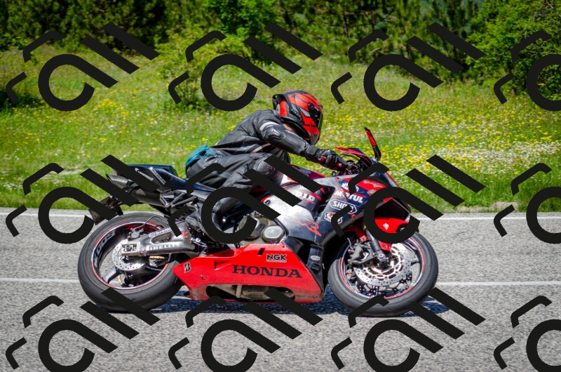 202506011310-DSC_4854_c2