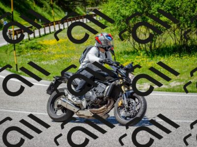 202506011310-DSC_4855_c2