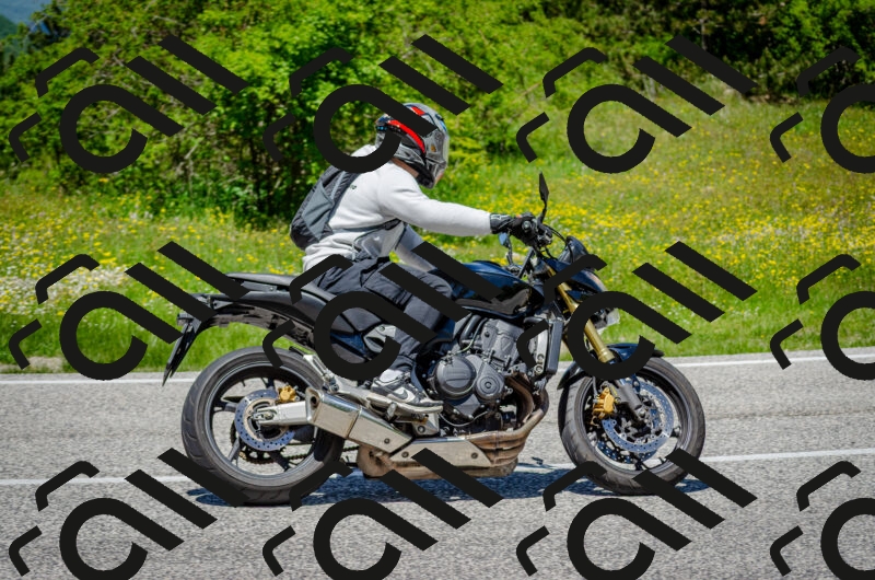 202506011310-DSC_4856_c2