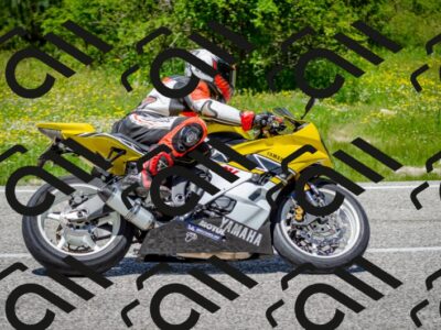 202506011311-DSC_4859_c2