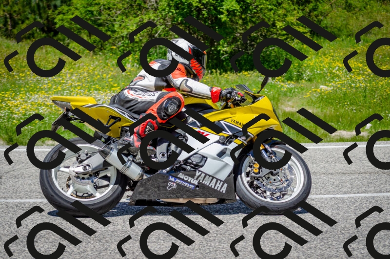 202506011311-DSC_4859_c2