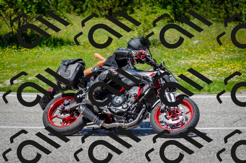 202506011311-DSC_4861_c2