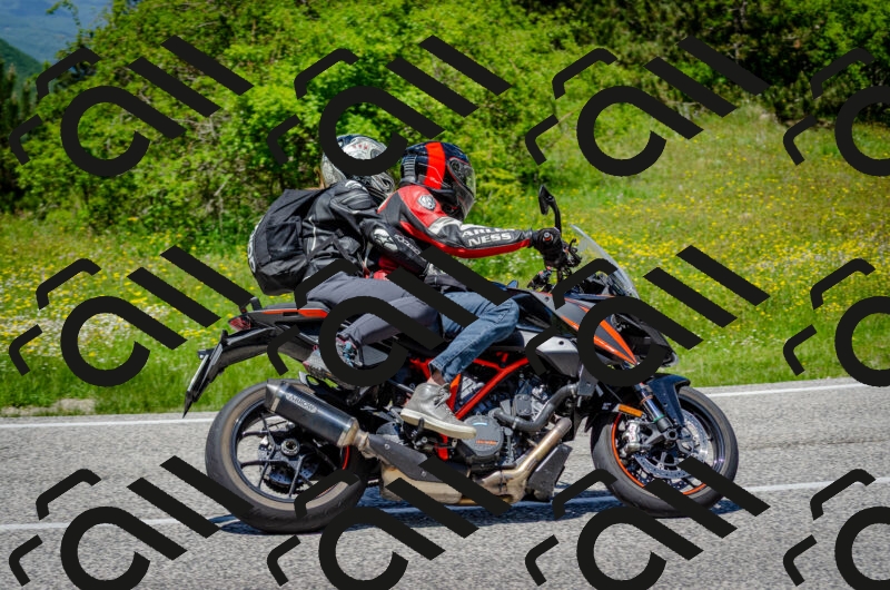 202506011311-DSC_4865_c2