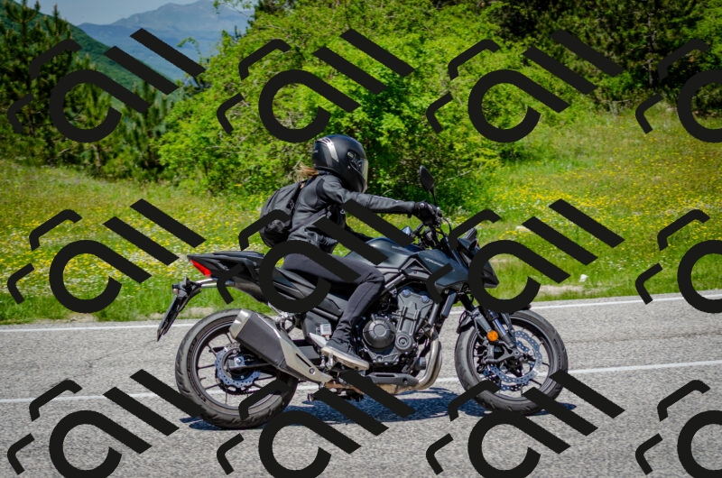 202506011311-DSC_4871_c2