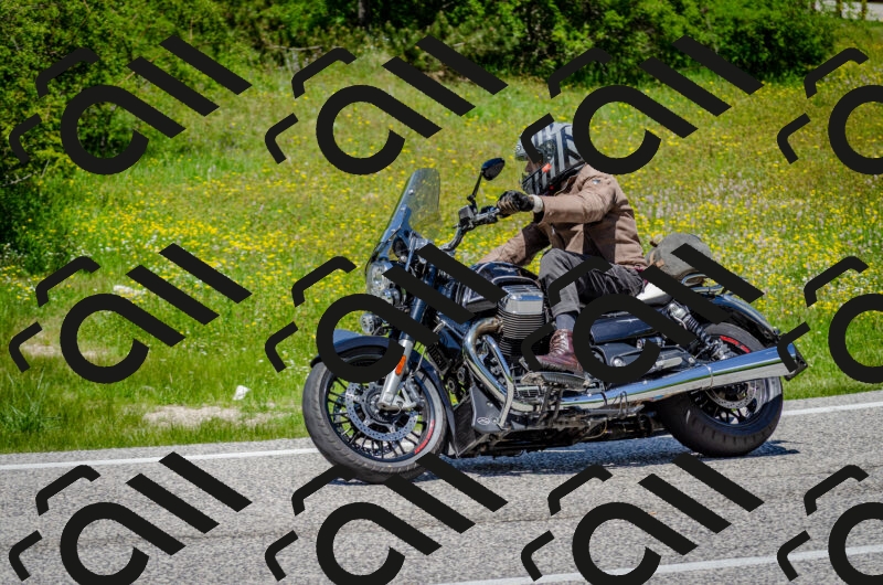 202506011311-DSC_4873_c2