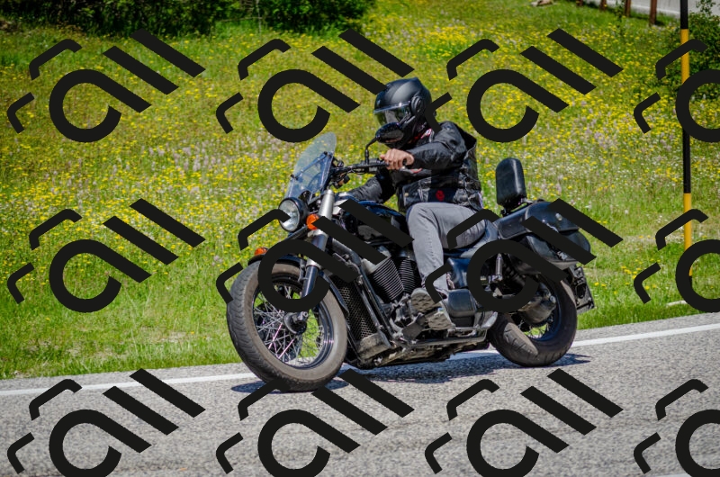 202506011311-DSC_4874_c2