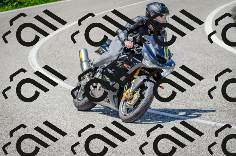 202506011312-DSC_4876_c2