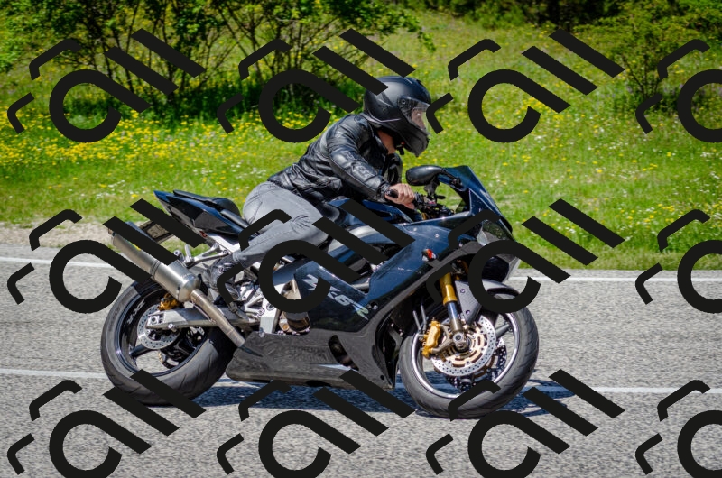 202506011312-DSC_4877_c2