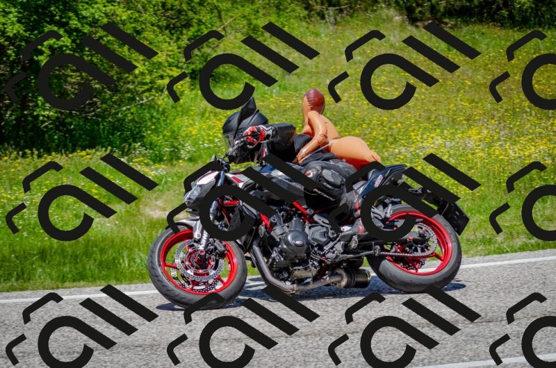 202506011312-DSC_4880_c2