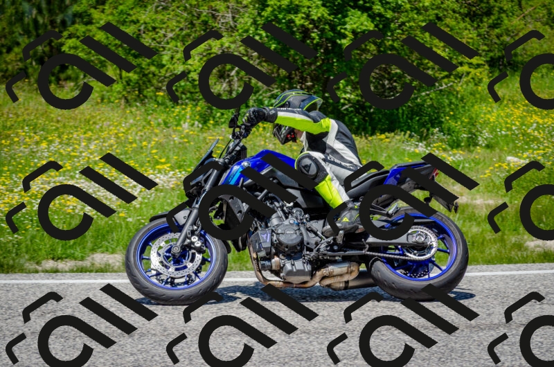 202506011312-DSC_4881_c2