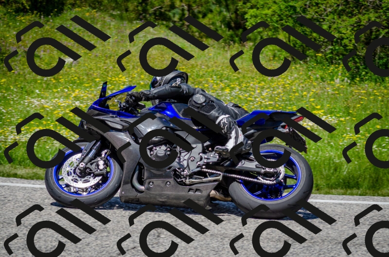 202506011313-DSC_4885_c2