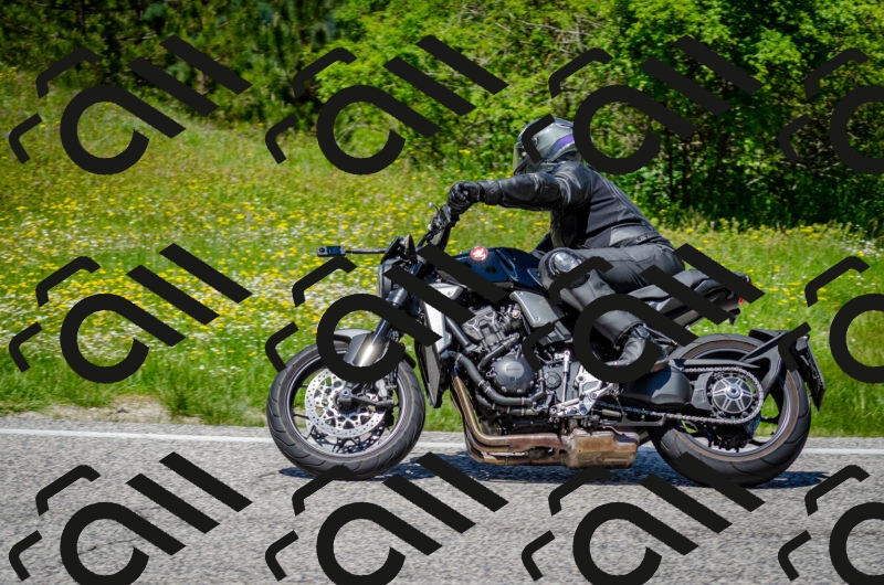 202506011313-DSC_4889_c2