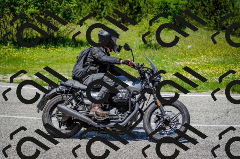 202506011313-DSC_4891_c2