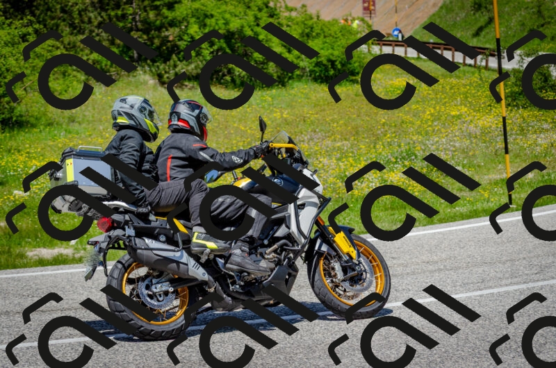 202506011313-DSC_4894_c2