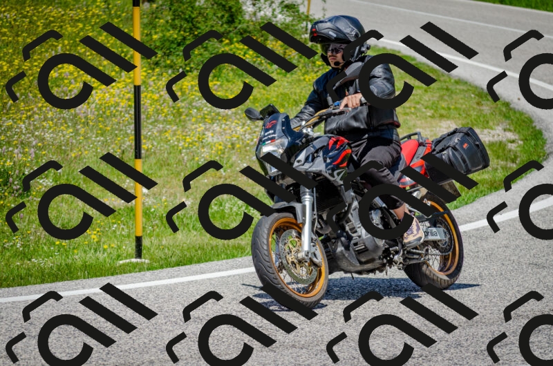 202506011313-DSC_4895_c2