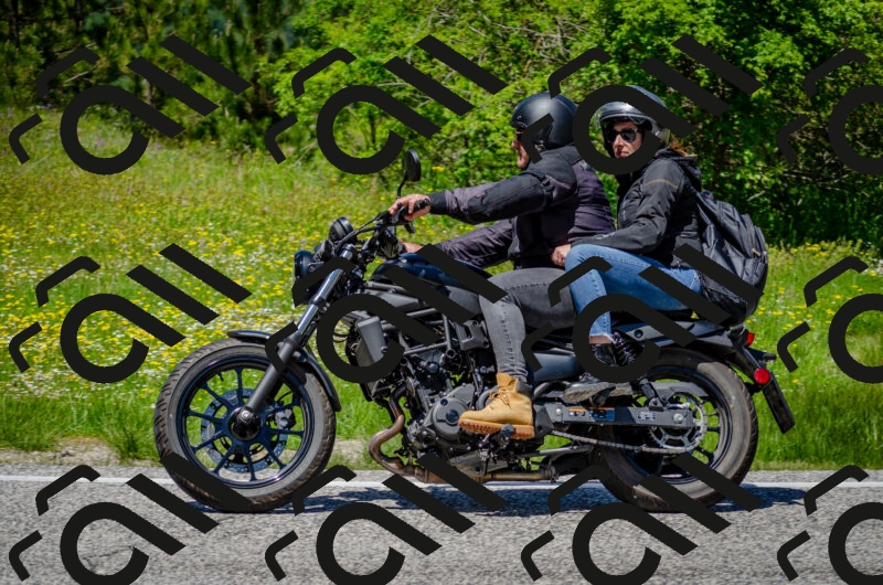 202506011313-DSC_4898_c2