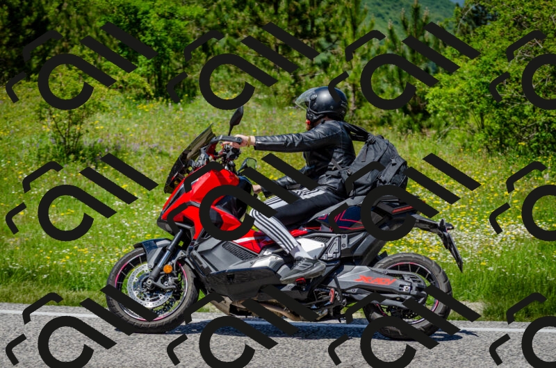 202506011313-DSC_4900_c2