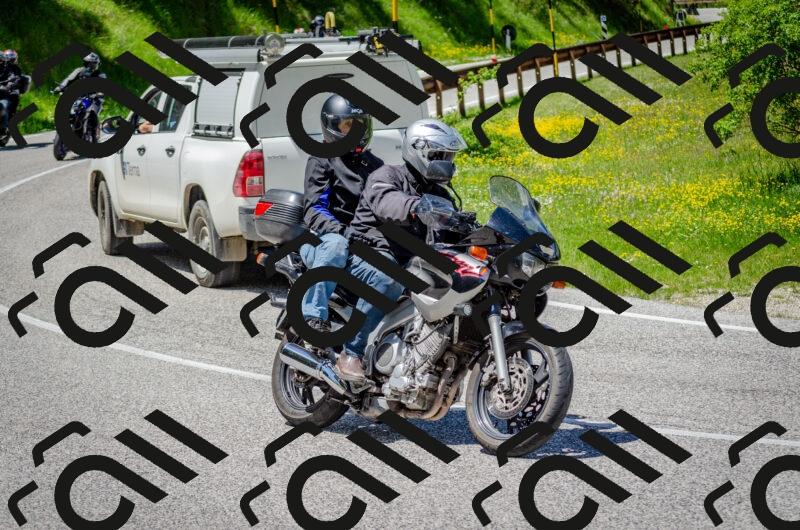 202506011314-DSC_4906_c2