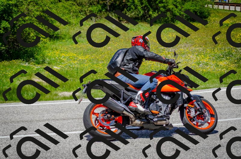 202506011314-DSC_4911_c2