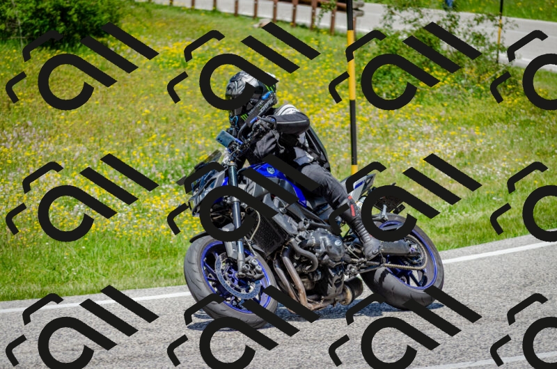 202506011315-DSC_4914_c2