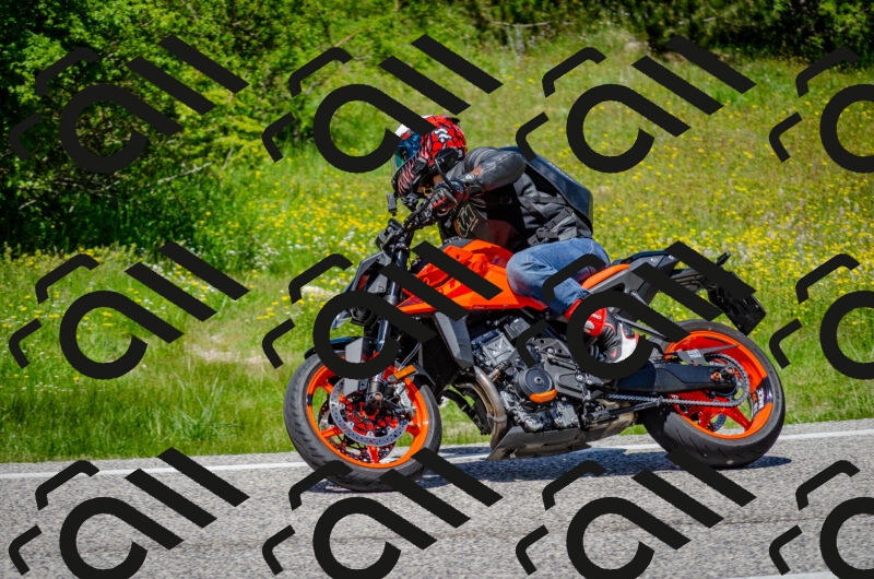 202506011315-DSC_4916_c2