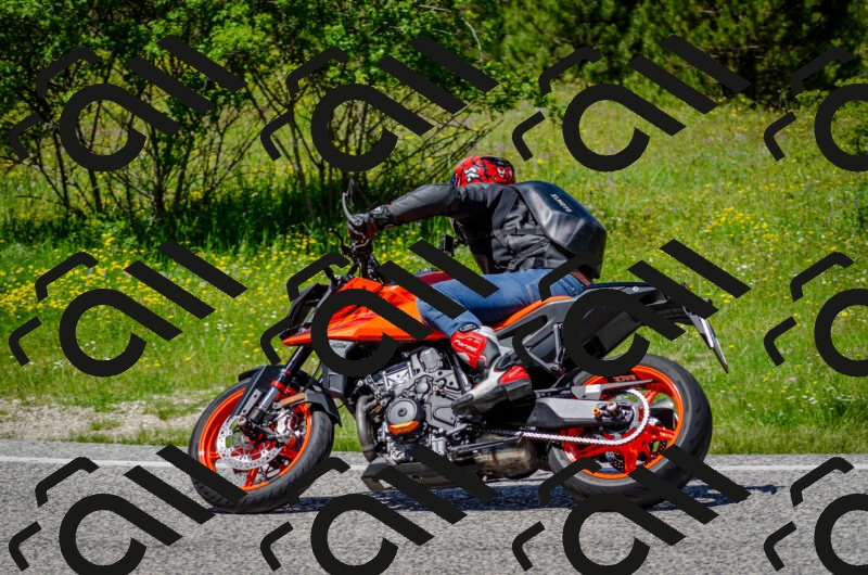 202506011315-DSC_4917_c2