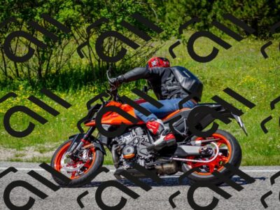 202506011315-DSC_4917_c2