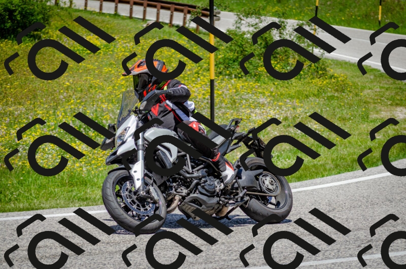 202506011315-DSC_4919_c2