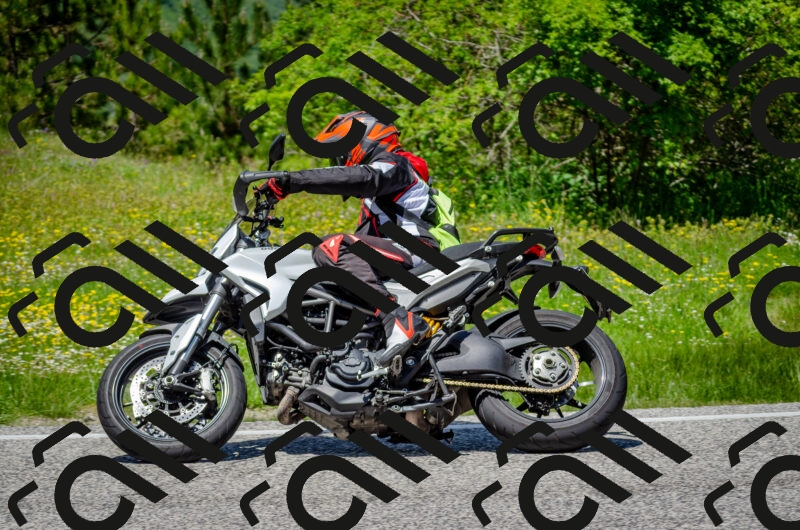 202506011315-DSC_4920_c2