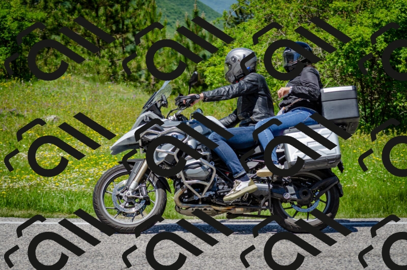 202506011315-DSC_4924_c2