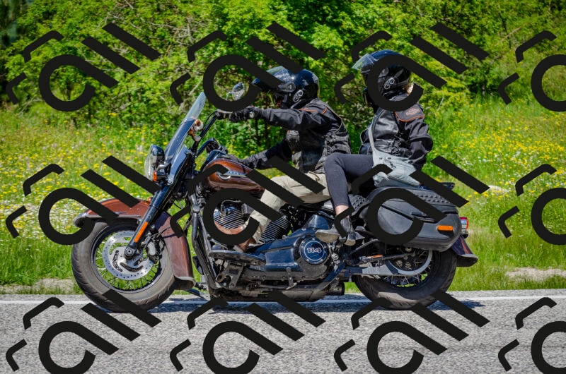 202506011315-DSC_4926_c2