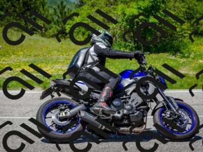 202506011315-DSC_4932_c2