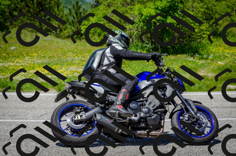 202506011315-DSC_4932_c2