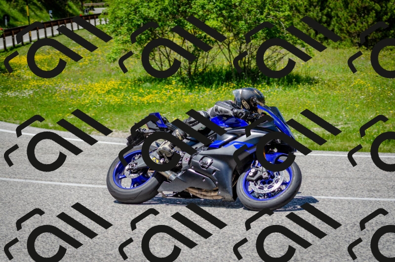 202506011317-DSC_4938_c2