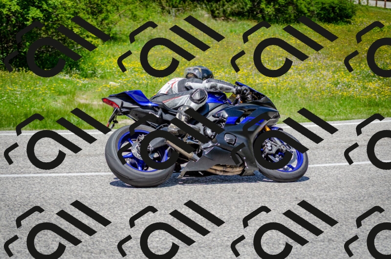 202506011317-DSC_4939_c2