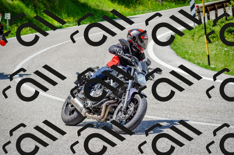 202506011317-DSC_4940_c2