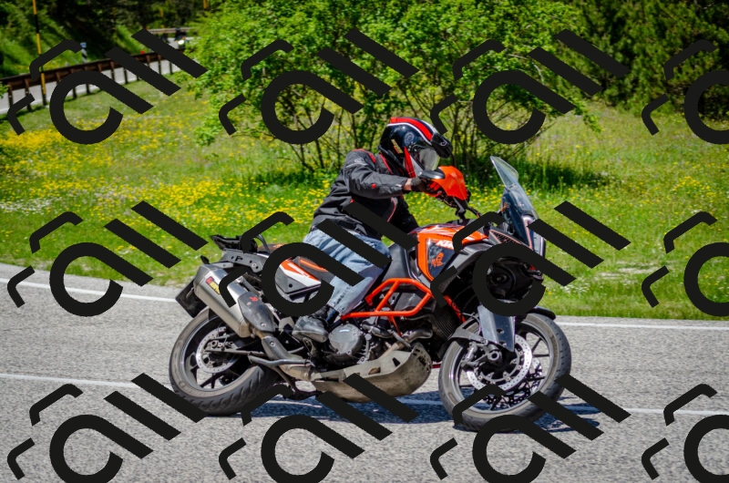 202506011317-DSC_4942_c2