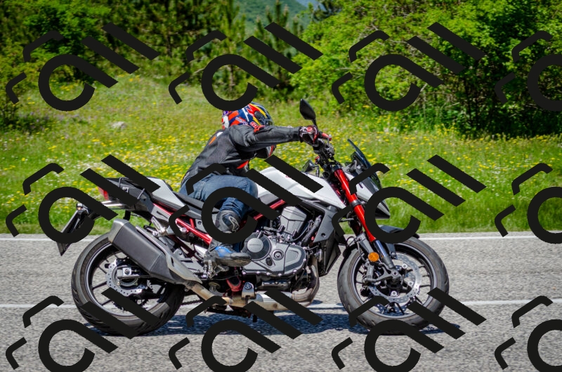 202506011317-DSC_4945_c2