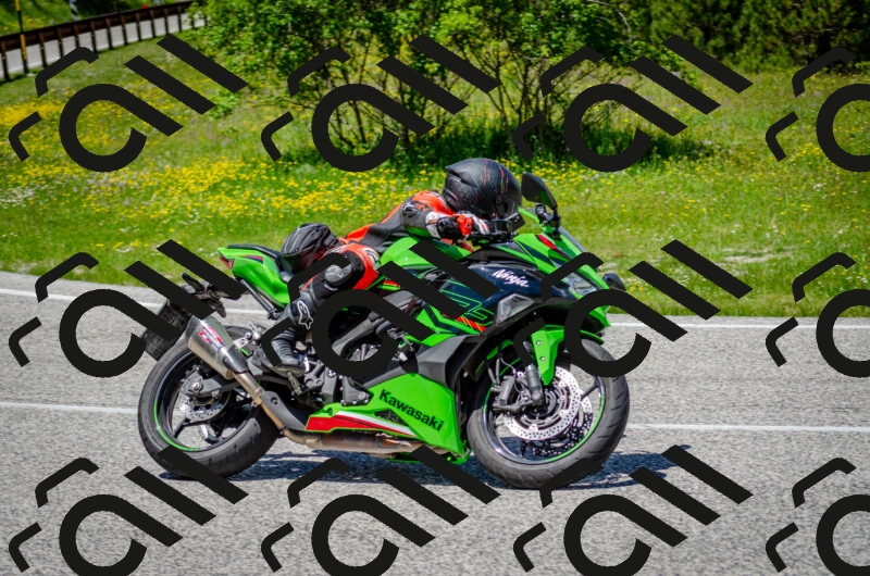 202506011317-DSC_4946_c2