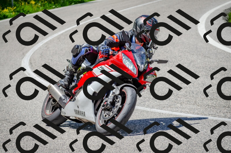 202506011317-DSC_4950_c2