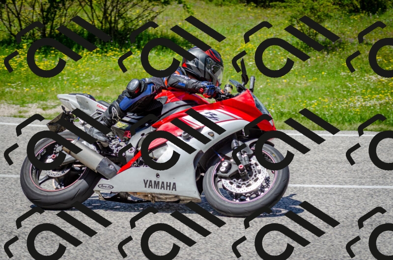 202506011317-DSC_4951_c2