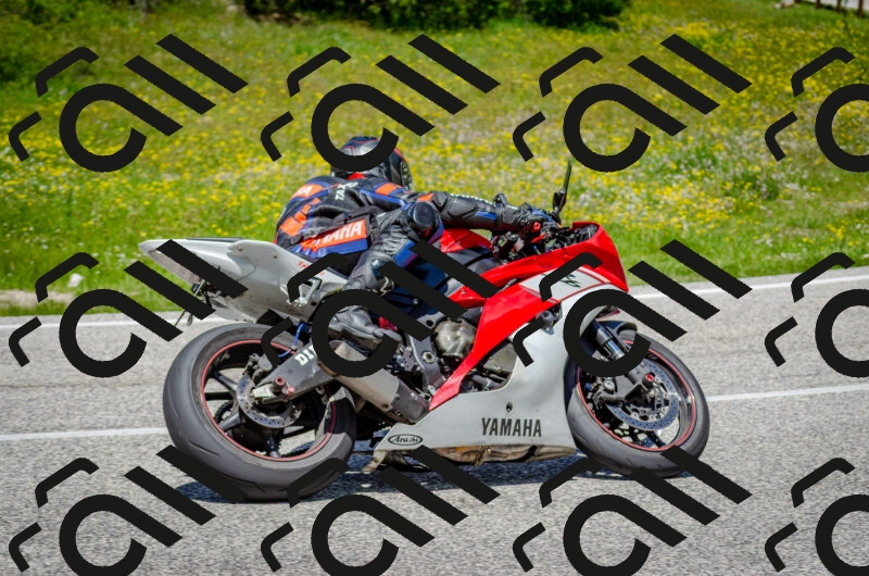 202506011317-DSC_4952_c2