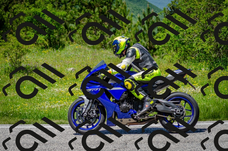 202506011318-DSC_4955_c2