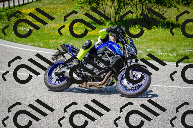 202506011319-DSC_4959_c2